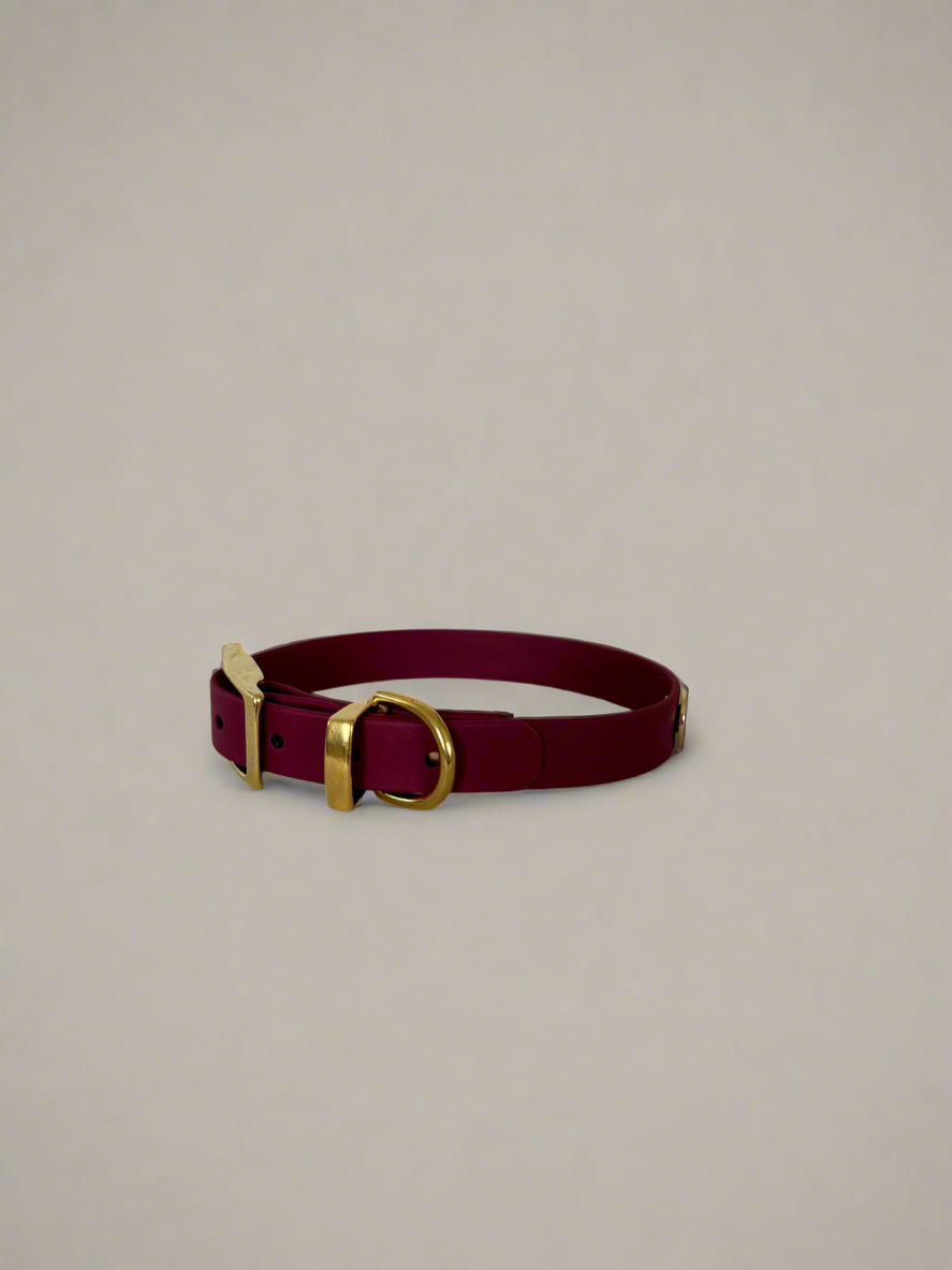 Dark Cherry Classic Collar