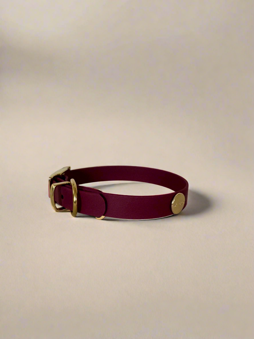 Dark Cherry Classic Collar