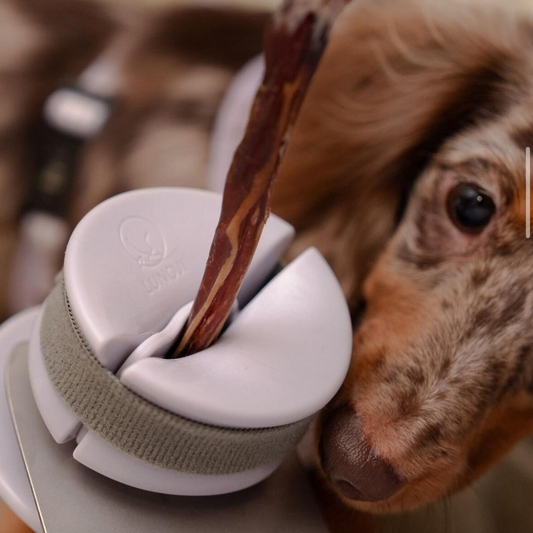 CHEWDEN Grip (by Lunoji)