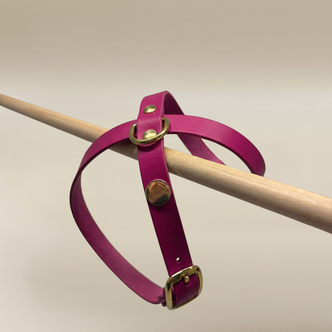 Eterno Harness Valentine