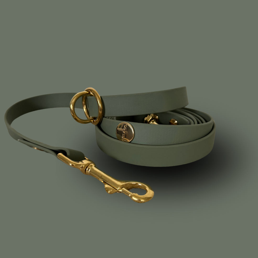 Matcha Multi-Functional Leash