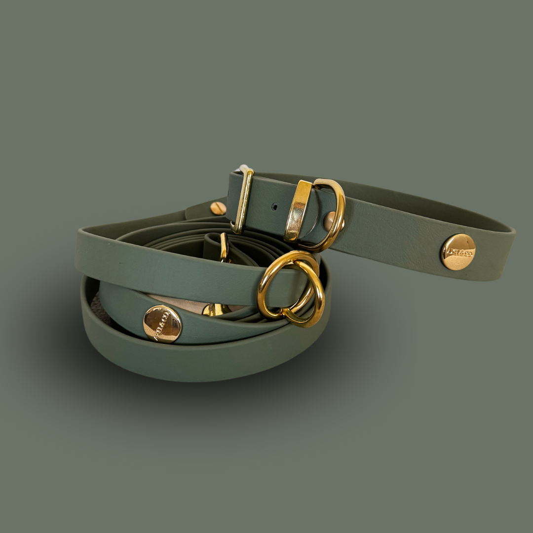 Matcha Multi-Functional Leash and Collar Bundle