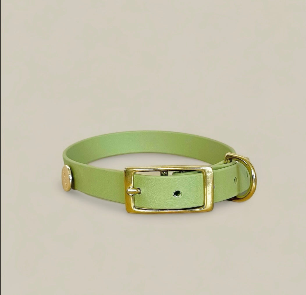 Pistacchio Classic Collar