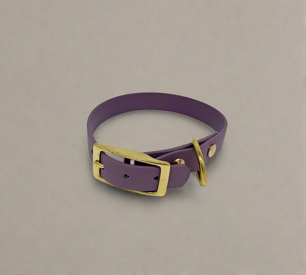 Fig Classic Collar