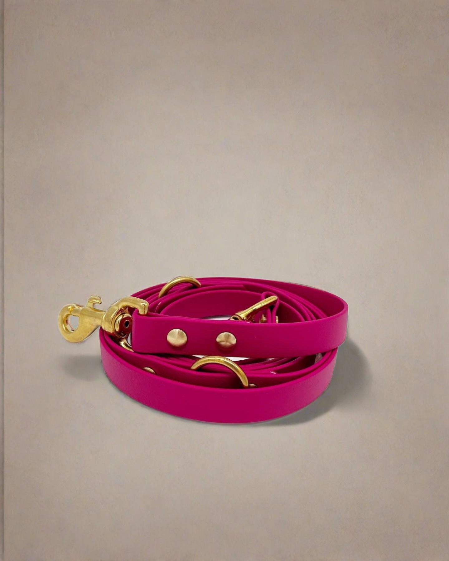 Berry Multi-Functional Leash