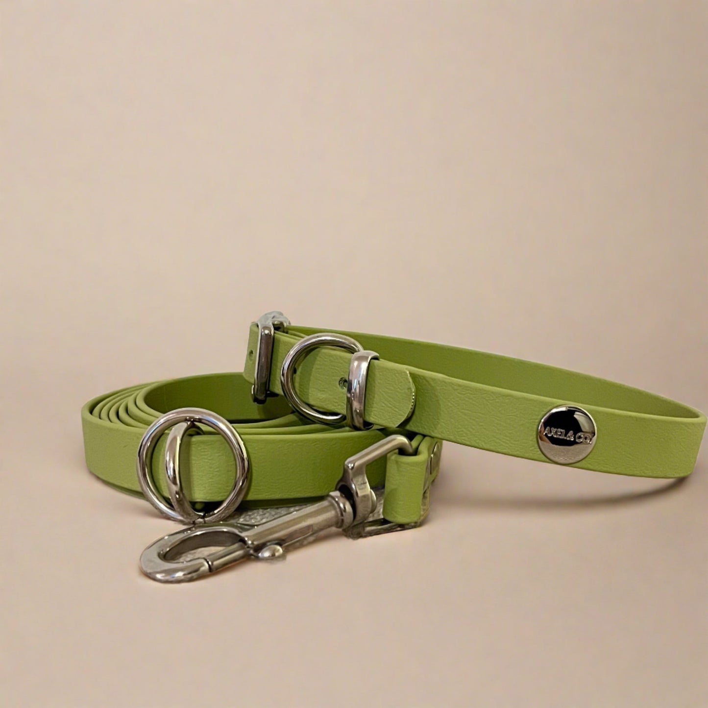 Pistacchio Multi-Functional Leash and Collar Bundle