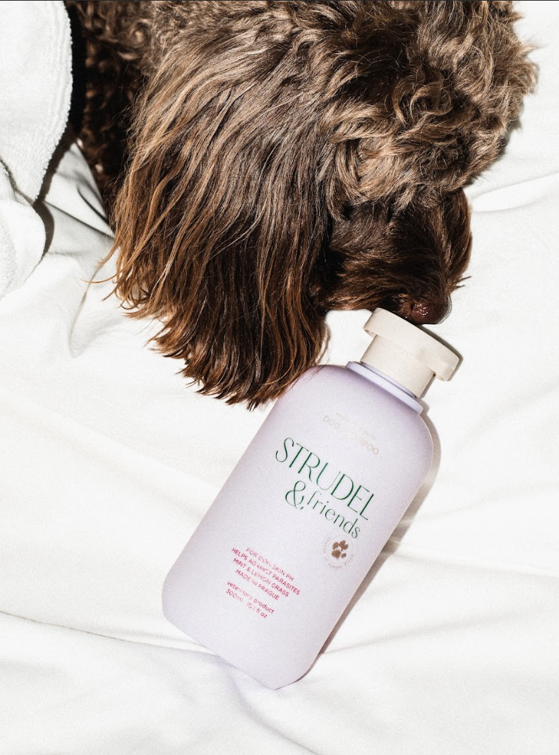 Organic Dog Shampoo