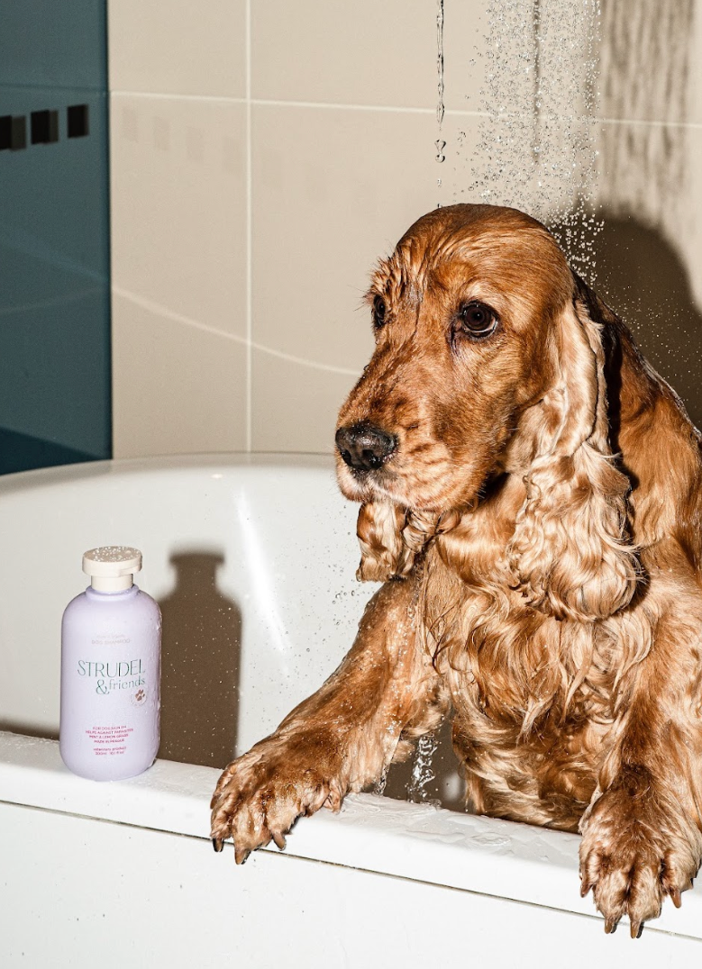 Organic Dog Shampoo