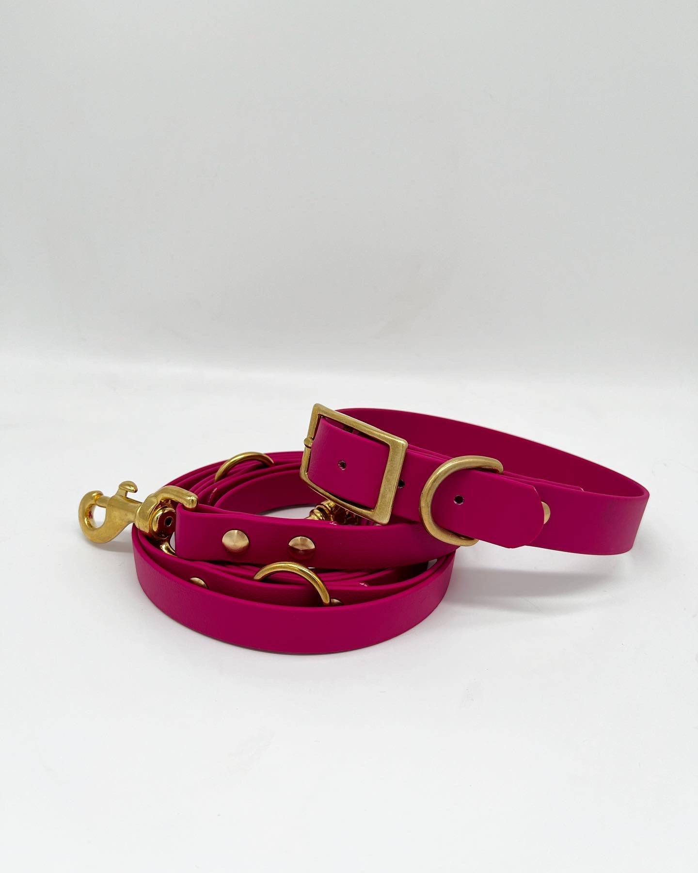 Berry Multi-Functional Leash and Collar Bundle