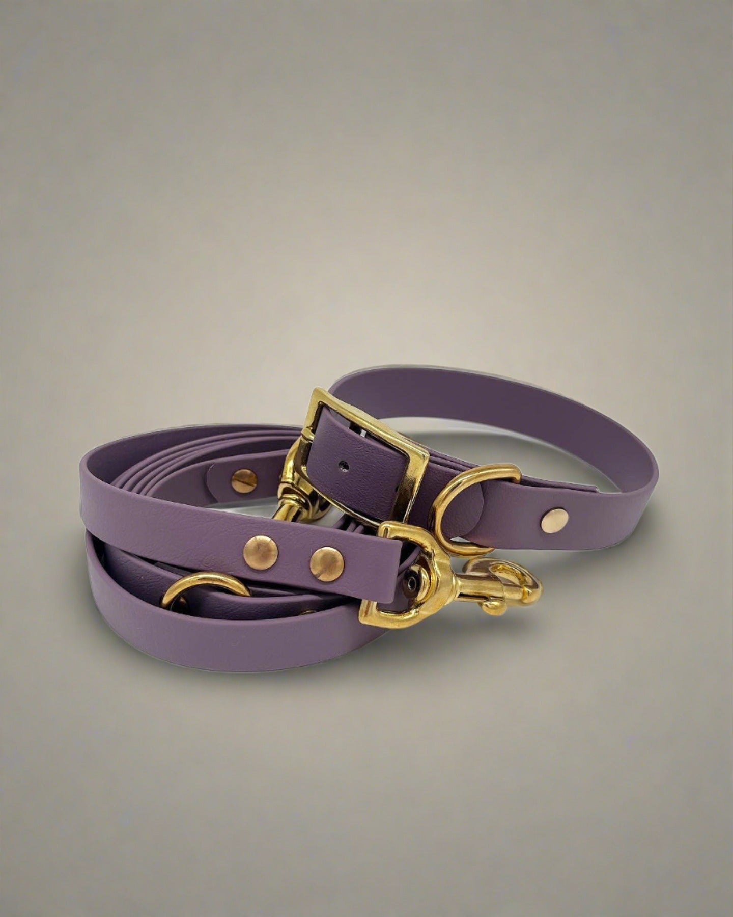 Fig Multi-Functional Leash and Collar Bundle