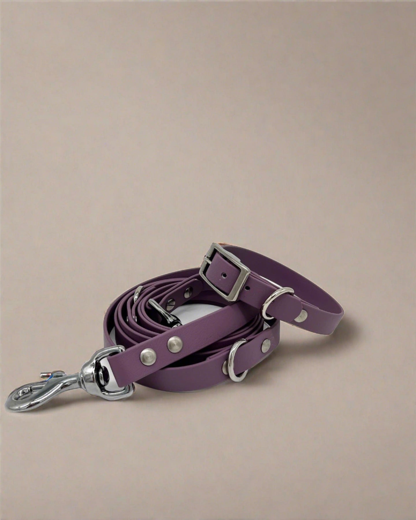 Fig Multi-Functional Leash and Collar Bundle