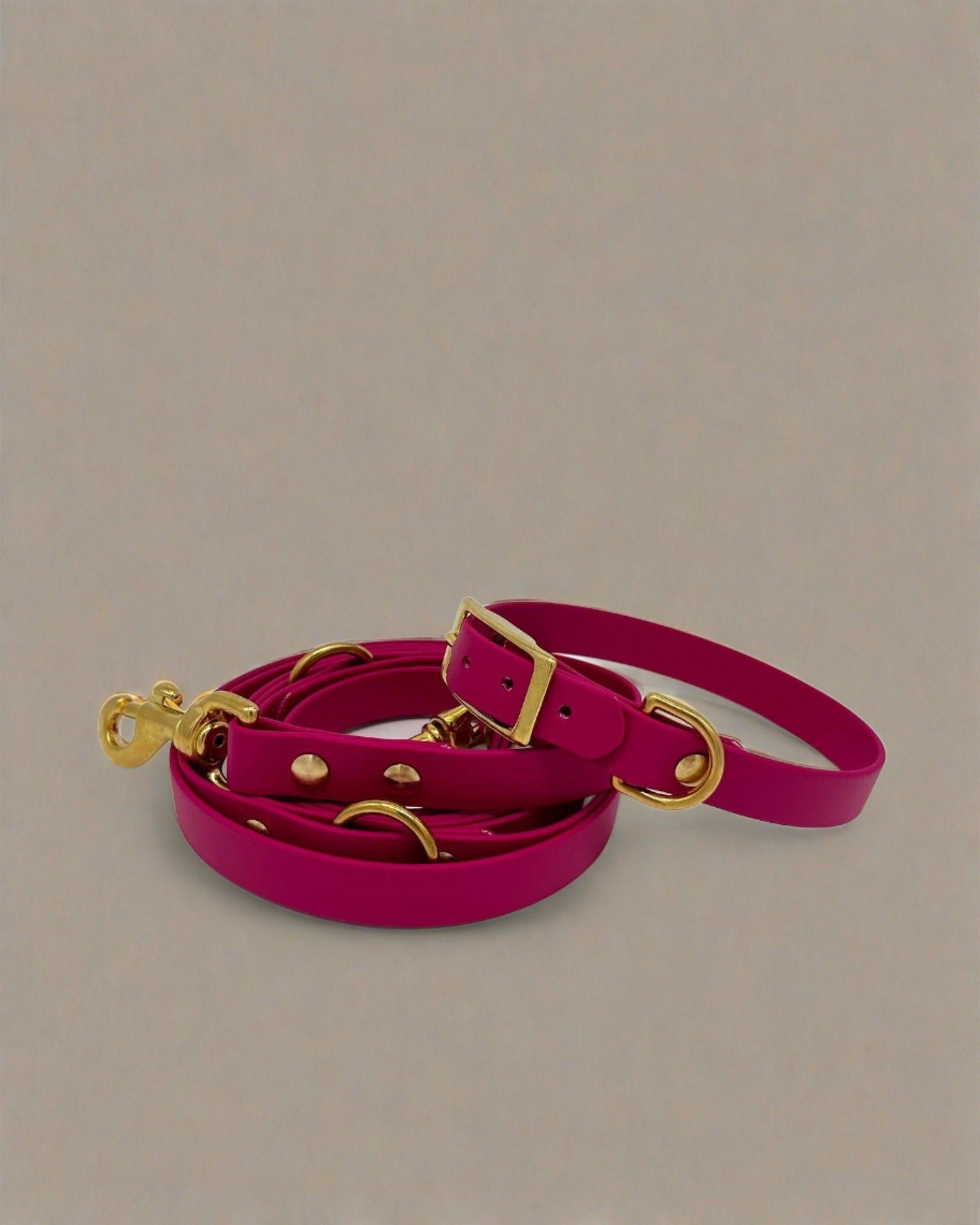 Berry Multi-Functional Leash and Collar Bundle