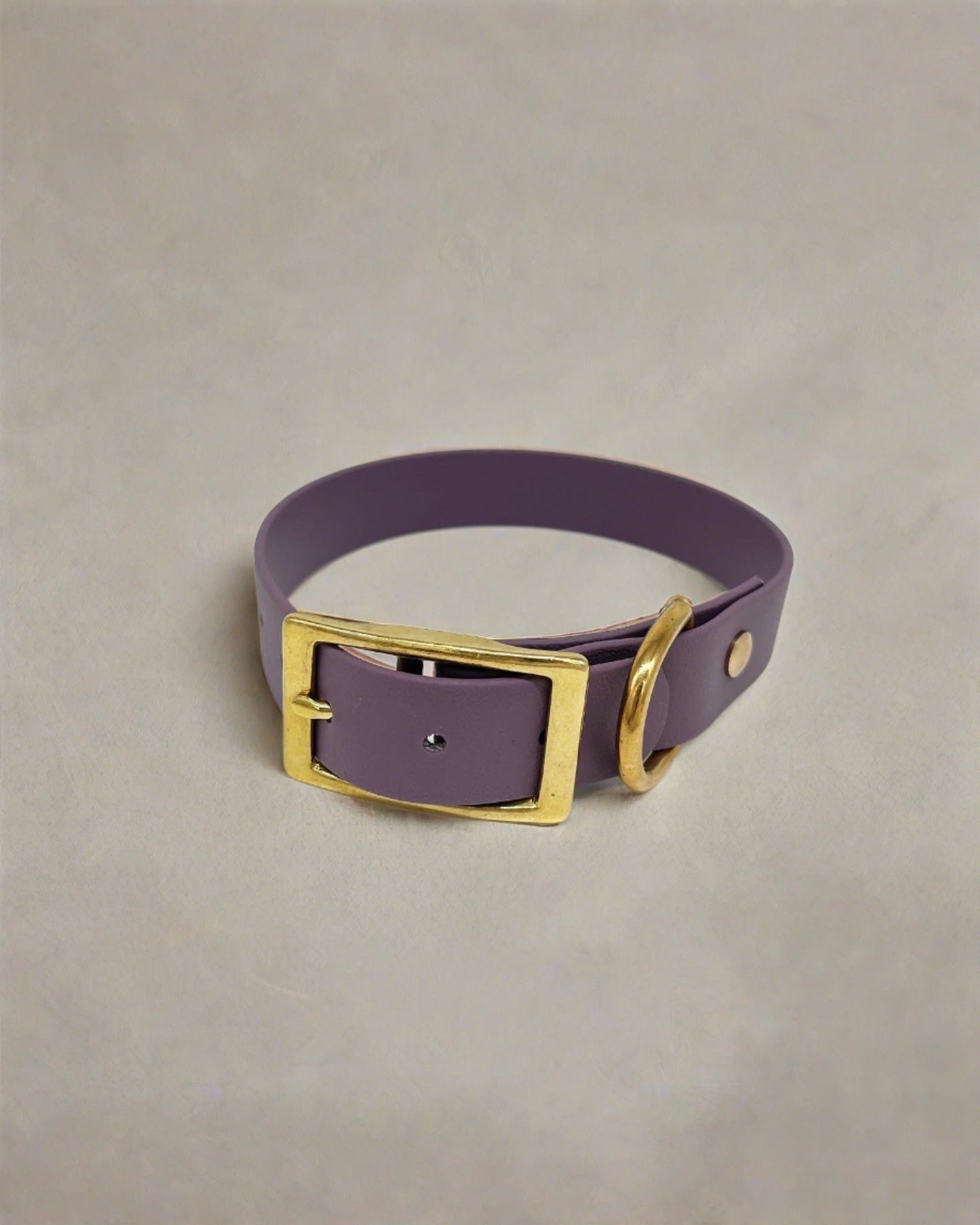 Fig Classic Collar