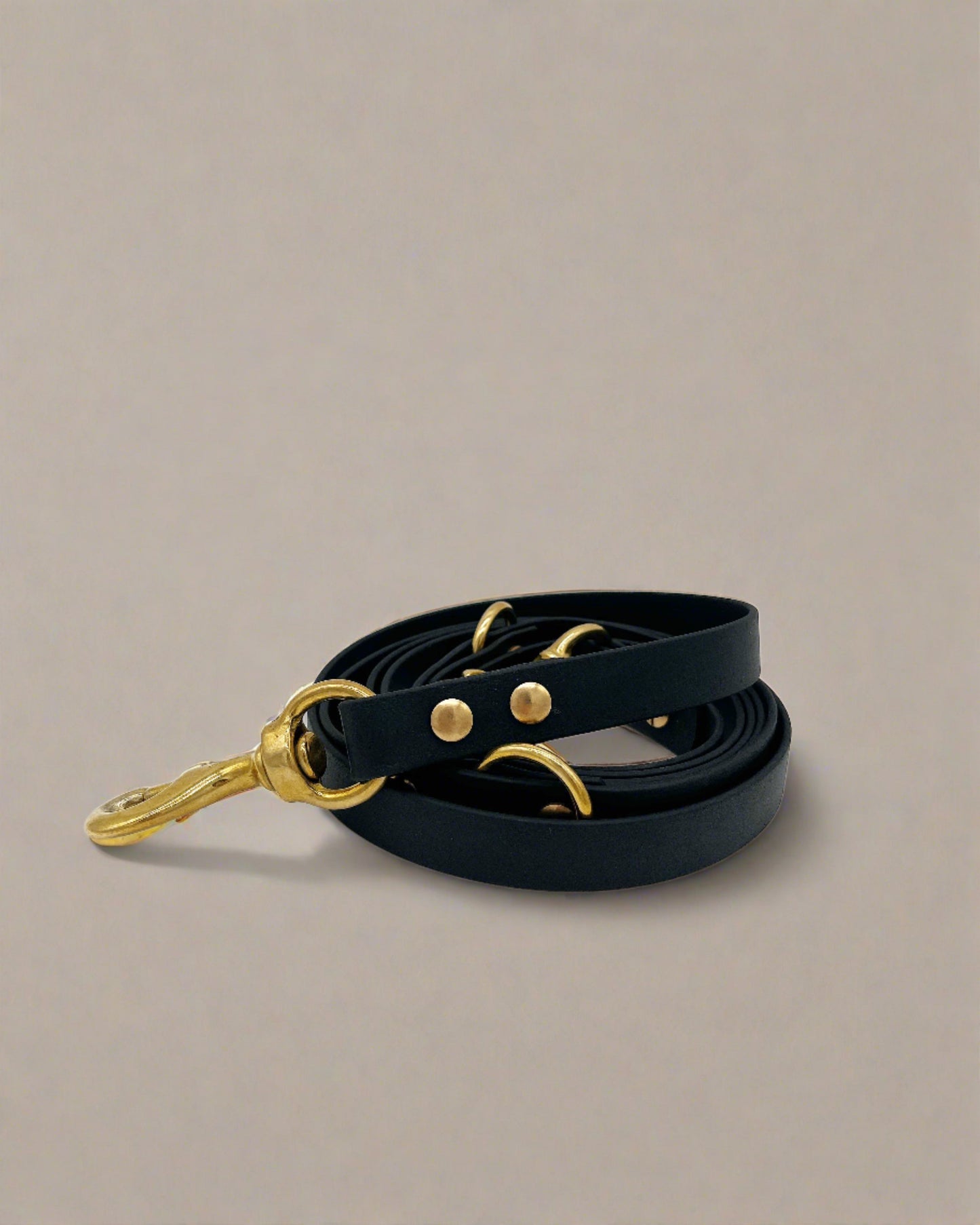 Onyx Multi-Functional Leash