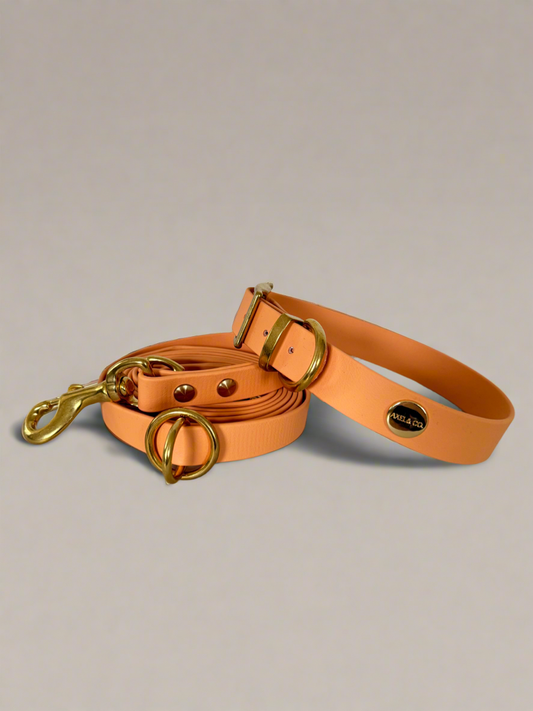 Apricot Multi-Functional Leash and Collar Bundle