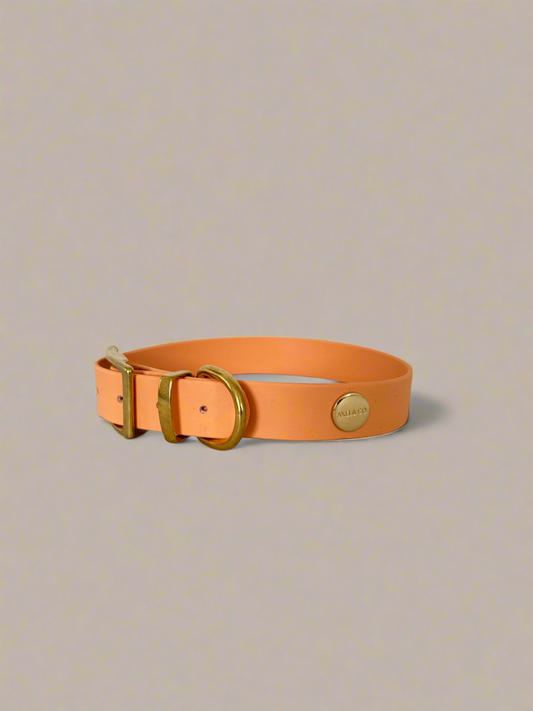 Apricot Classic Collar