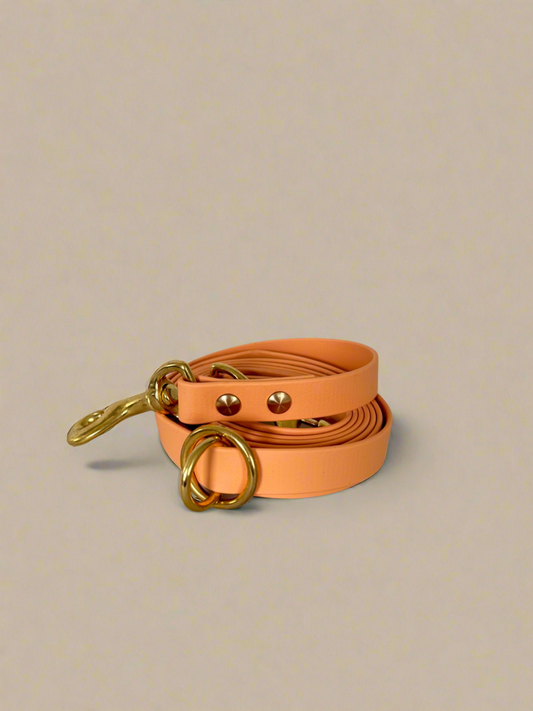 Apricot Multi-Functional Leash