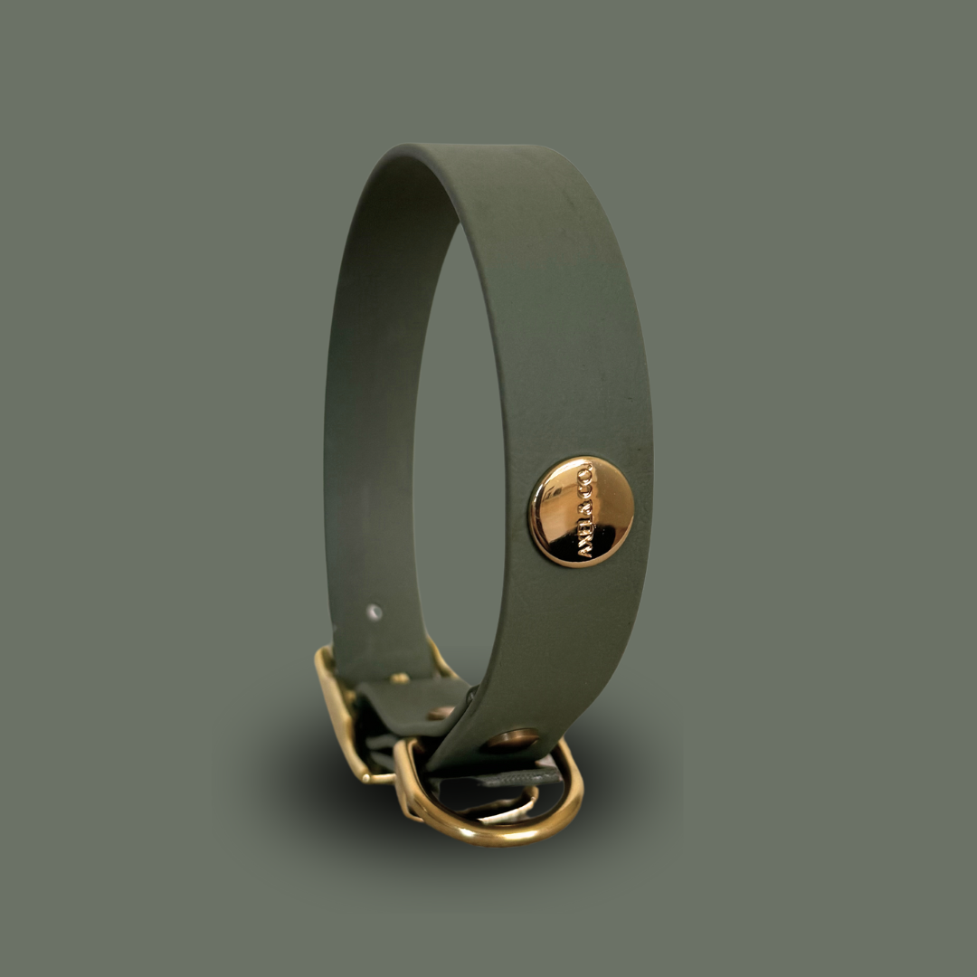 Matcha Classic Collar
