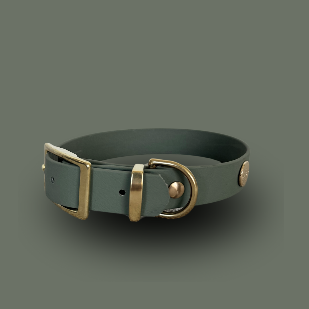 Matcha Classic Collar