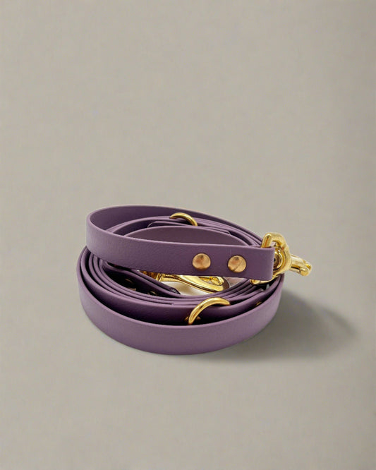Fig Multi-Functional Leash