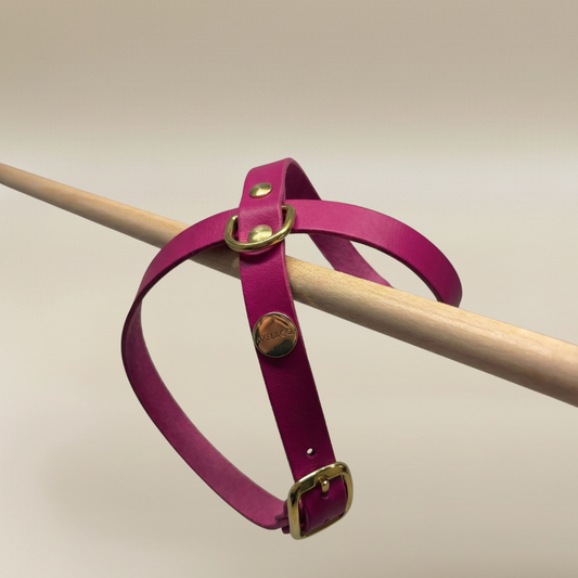 Eterno Harness Valentine