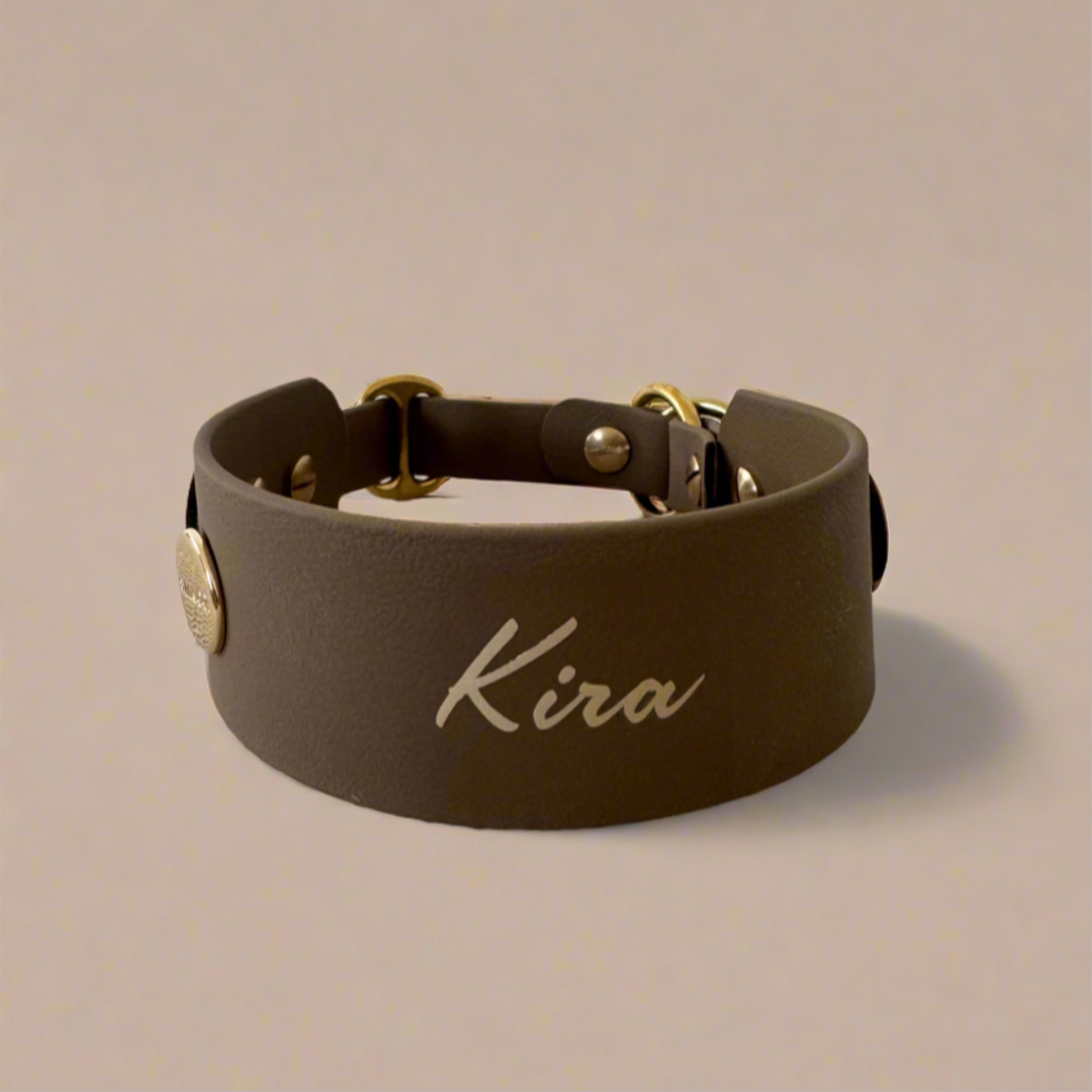 Personalized Name (Add on to Collars)
