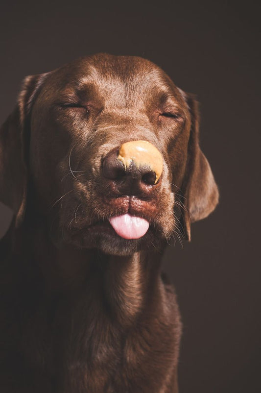 Calming Peanut Butter