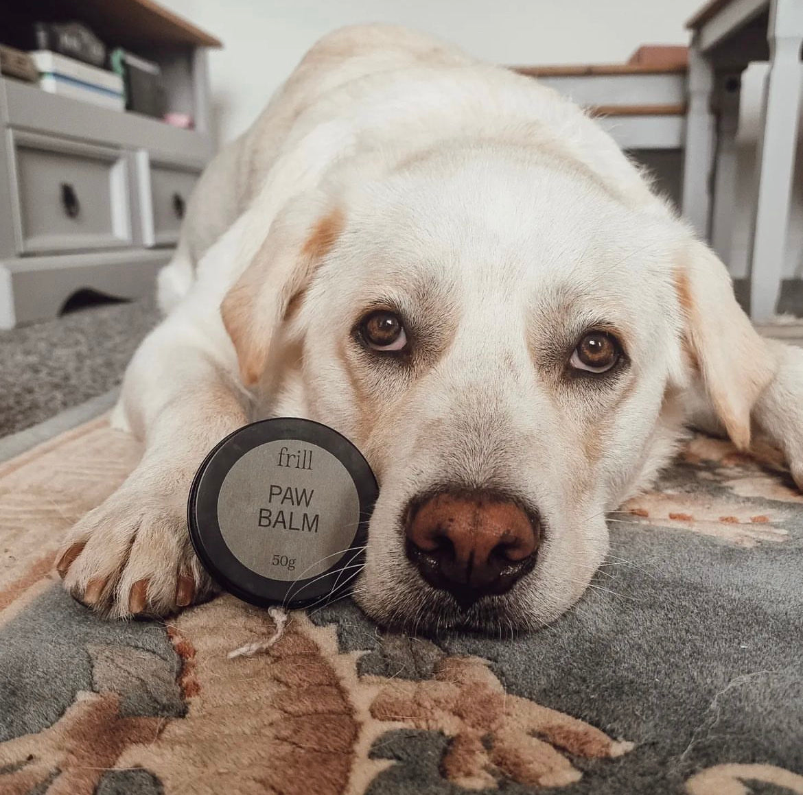 Luxurious Organic Paw Balm