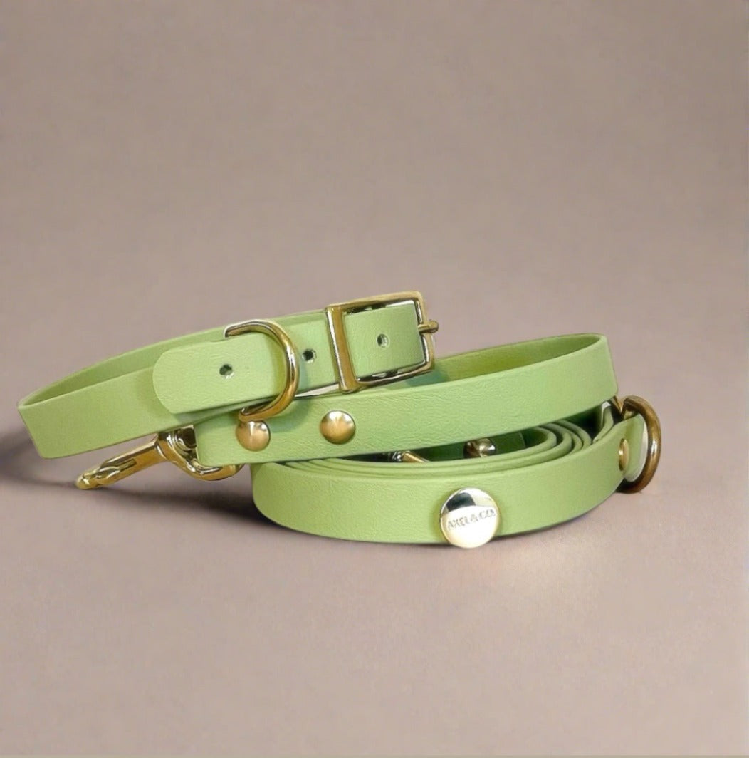Pistacchio Long Lead and Collar Bundle