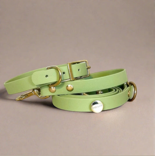 Pistacchio Multi-Functional Leash and Collar Bundle