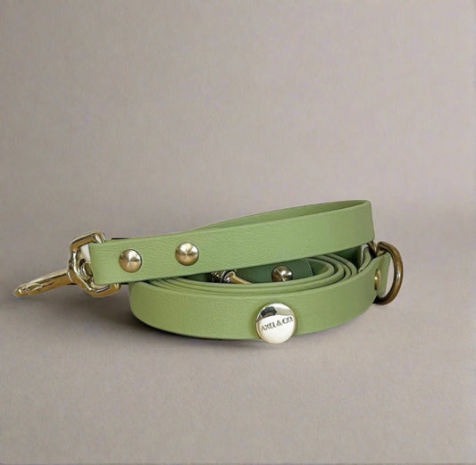 Pistacchio Multi-Functional Leash