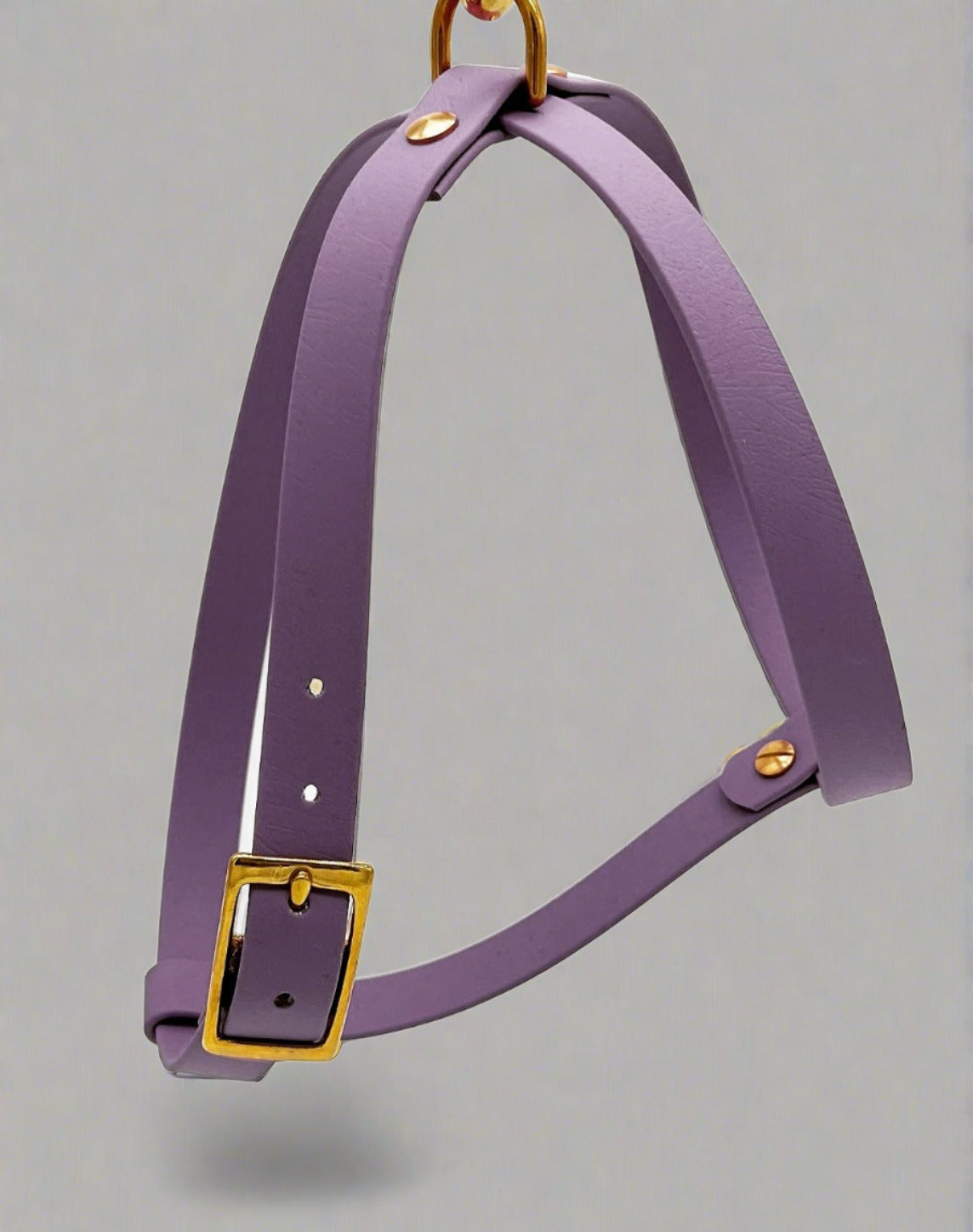 Fig Harness
