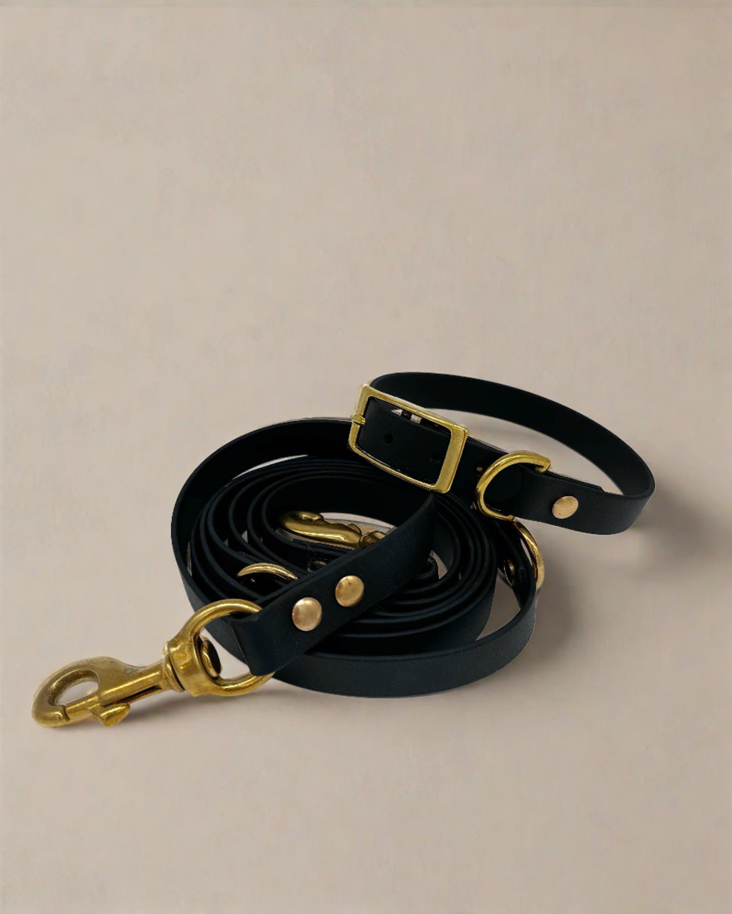Onyx Multi-Functional Leash and Collar Bundle