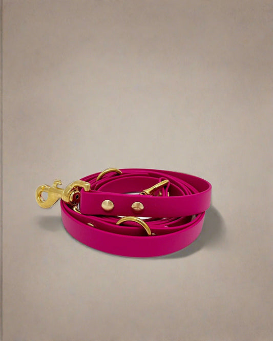 Berry Multi-Functional Leash