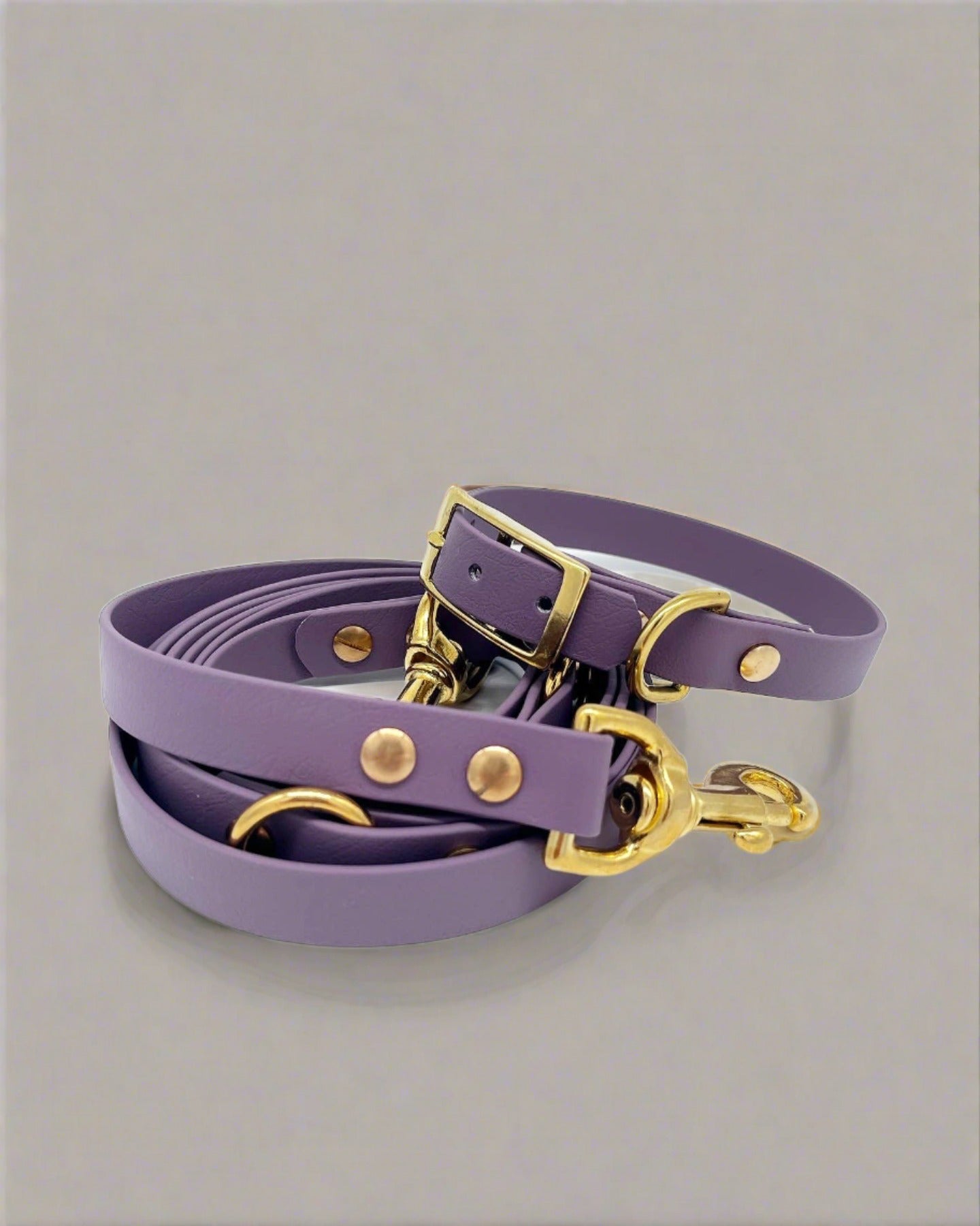 Fig Multi-Functional Leash and Collar Bundle