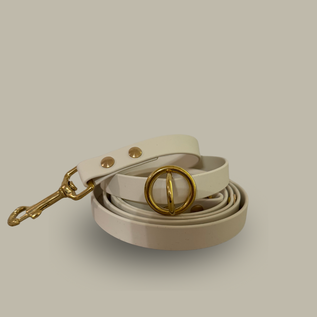 Vanilla Multi-Functional Leash