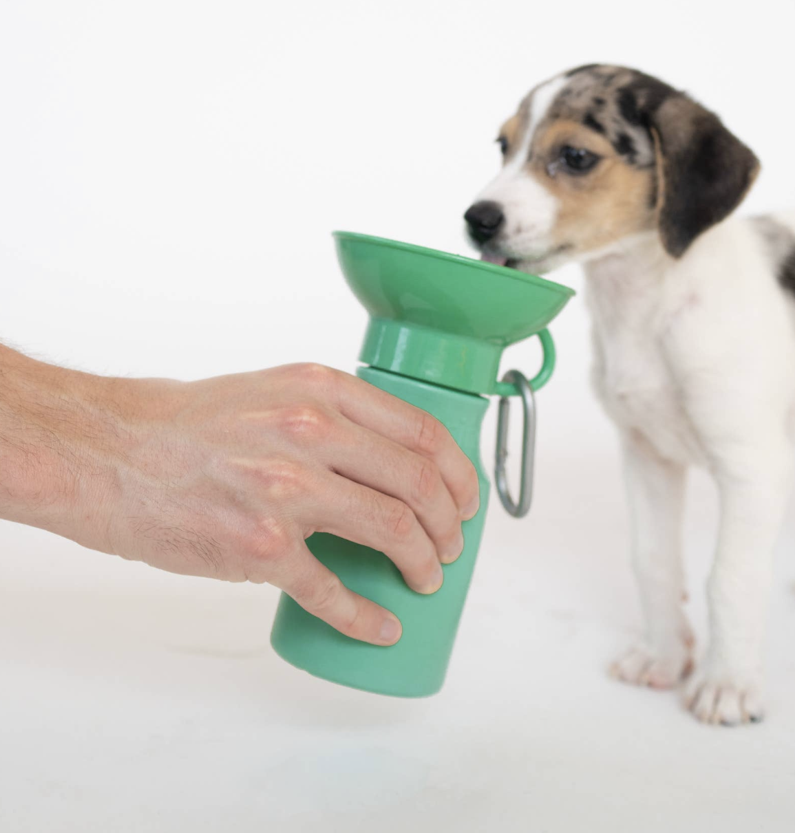 Dog Travel Water Bottle (Springer)