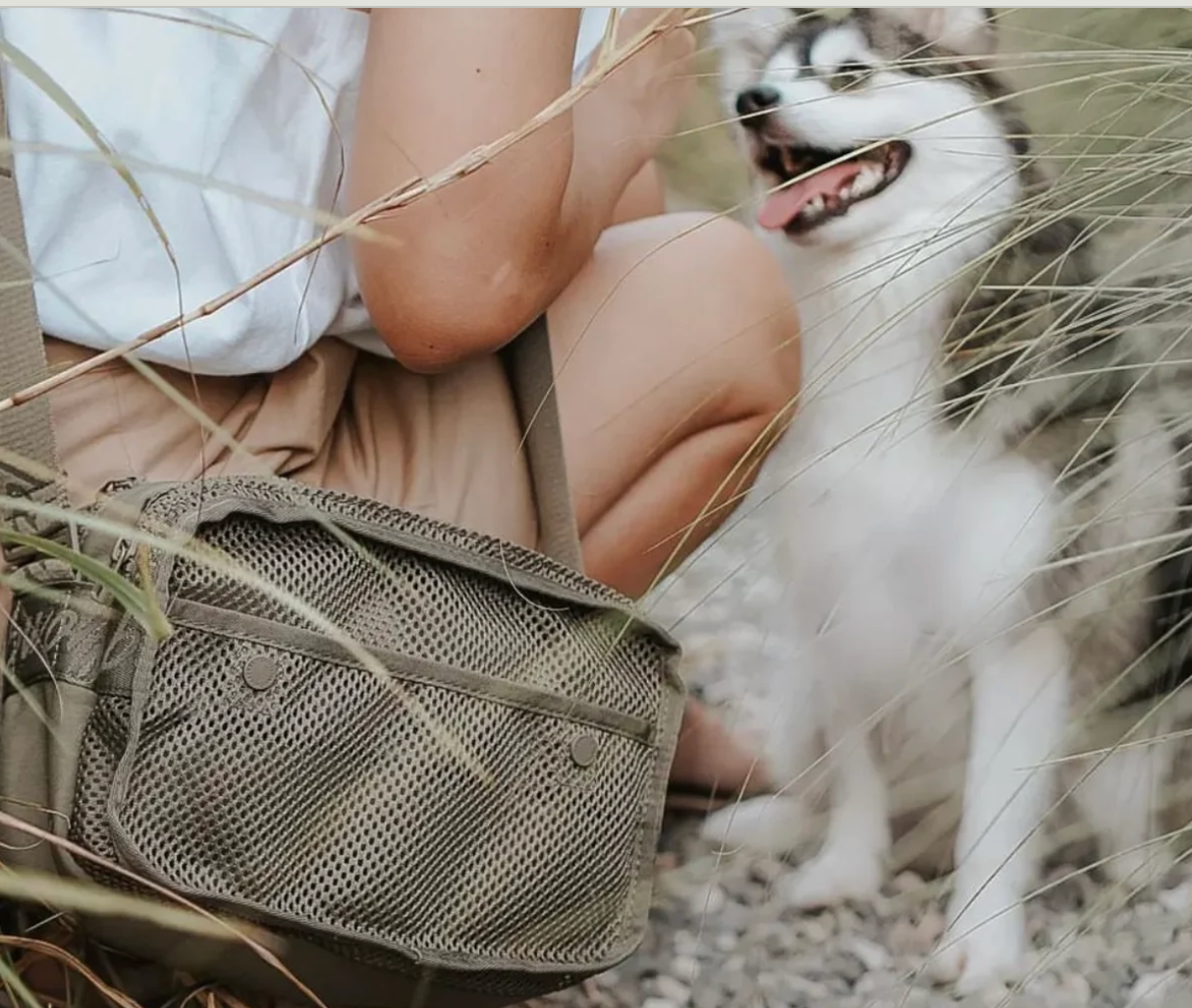 FORAGER Dog Walking Bag (Lambwolf)