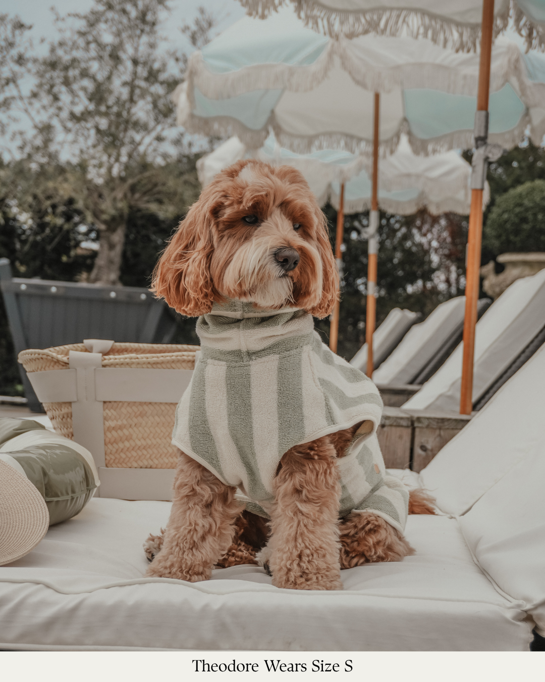 Matcha Stripe | The Cosy Cloak Drying Robe