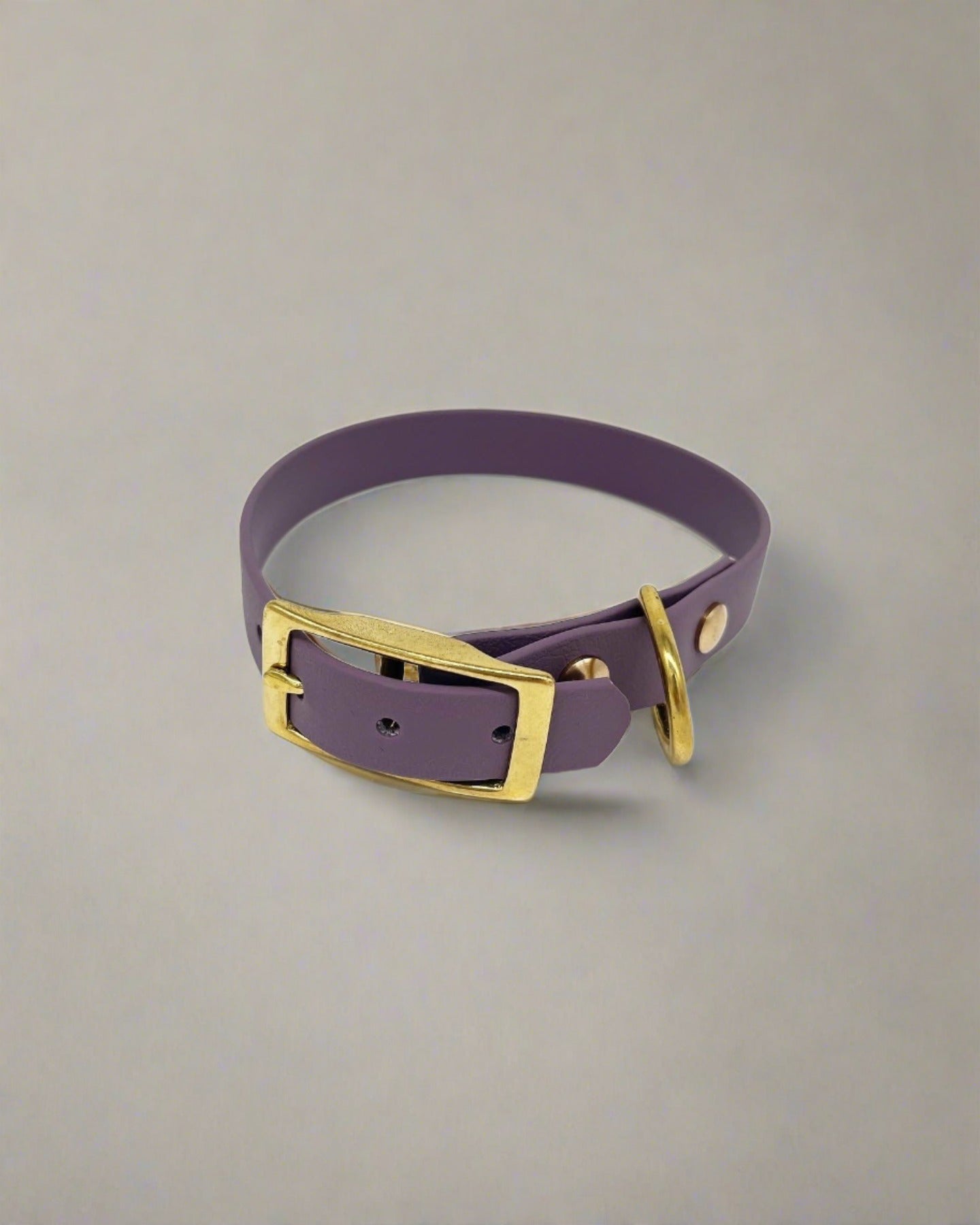 Fig Classic Collar