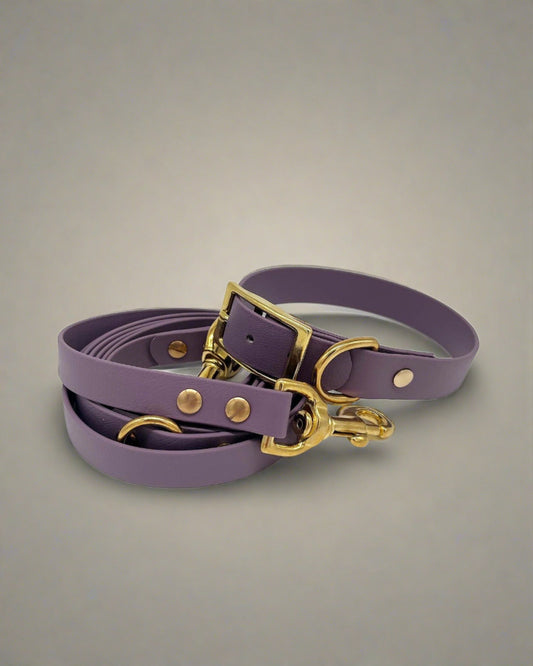 Fig Long Lead and Collar Bundle