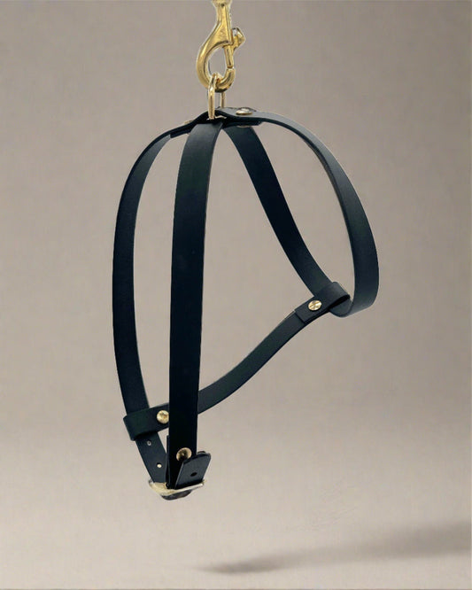 Onyx Harness