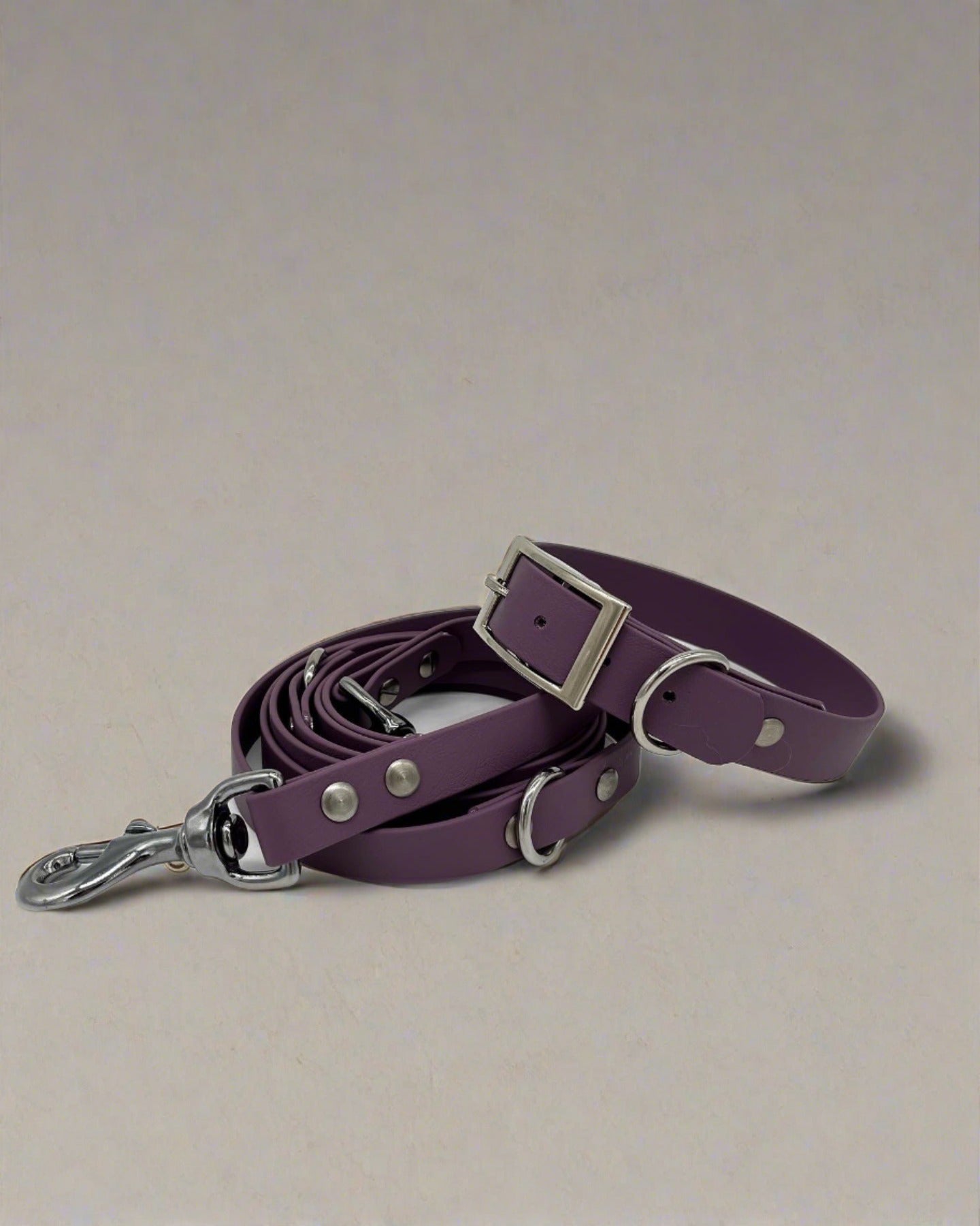 Fig Multi-Functional Leash and Collar Bundle